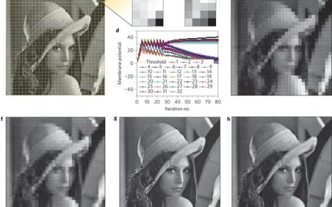 密歇根大学卢伟Nature子刊:人工智能-忆阻器网络的稀疏编码