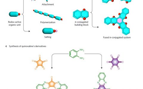 Nature Energy：π共轭含氮杂环分子基有机阴极中的可逆多电子氧化还原化学