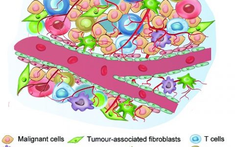 陈小元Chem. Soc. Rev.综述：将肿瘤微环境的纳米粒子设计策略用于强化抗癌治疗
