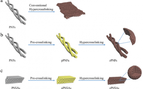 中山大学吴丁财Adv. Mater.:逐步交联—一种简单而多功能的设计理念用于制备纳米形貌可持续的多孔聚合物