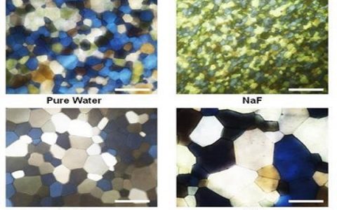 中科院化学所在离子调控冰晶重结晶研究中取得系列进展