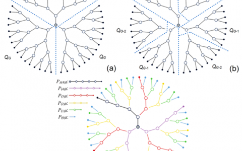 复旦大学Macromolecules: 树枝形链的唤醒动态性质:一种图论算法