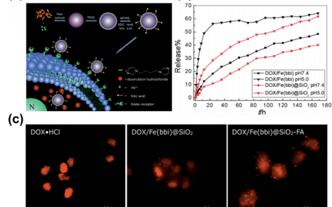 吉林大学杨英威Adv. Mater.:基于金属有机框架材料的药物/物质传递及癌症治疗