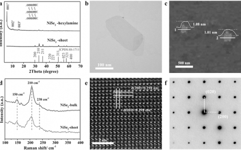 中科大谢毅院士Adv. Mater.：2D原子层中的离域自旋状态增强电催化氧析出