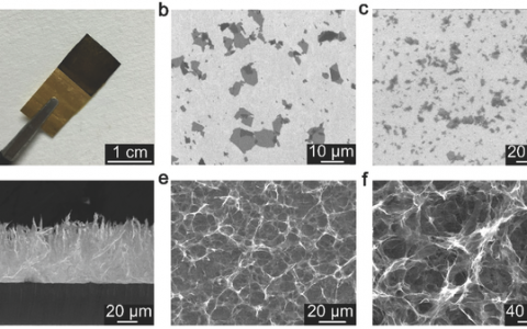 清华石高全Adv. Energy Mater.：用于交电流线路滤波器的石墨烯基有机电化学电容器
