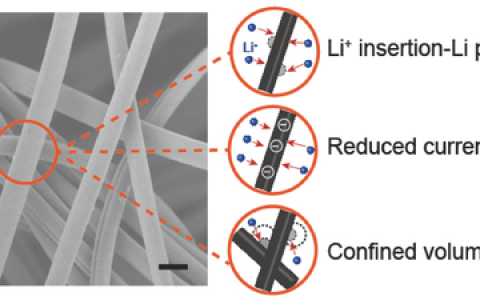 Adv. Mater. ：石墨化碳纤维作为3D多功能集流体应用于高面积比容锂金属负极