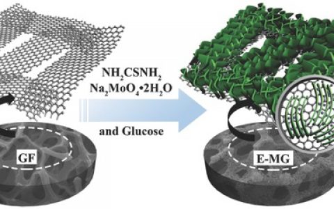 澳大利亚昆士兰大学赵修松教授Adv.Energy Mater. :扩层MoS2/石墨烯电极材料在Mg2+/Li+混合电池中的应用