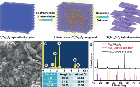 Angew. Chem. Int. Ed.：制备超薄二维TixTa1-xSyOz纳米片作为高效光热剂