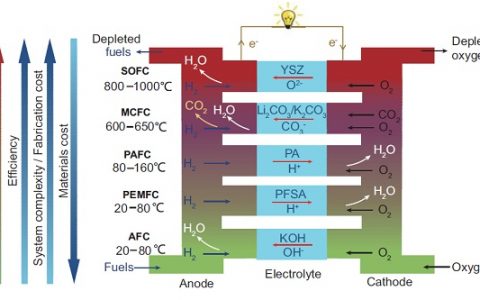 科技资讯写作大赛｜蒋三平教授Natl. Sci. Rev.：燃料电池技术展望