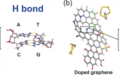 清华大学Angew. Chem. Int. Ed.：锂硫电池中的锂键化学