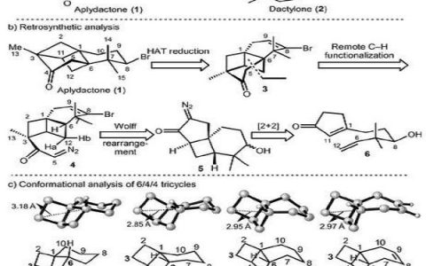 厦门大学化学化工学院：海洋天然产物全合成取得新进展