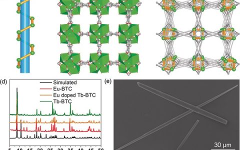 Angew. Chem. Int. Ed.: 一维镧系MOF微棒在光学波导和手性偏振  光电效应方面的应用