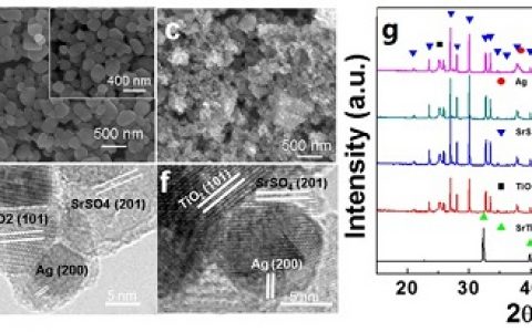 Nano Energy: 具有光生电子俘获/积累位点和输运通道结构的高效光催化剂的构建