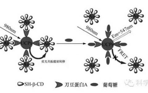 食品安全检测新材料︱上转换发光材料