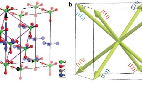 东南大学化学化工学院游雨蒙教授团队:分子铁电体研究取得进展