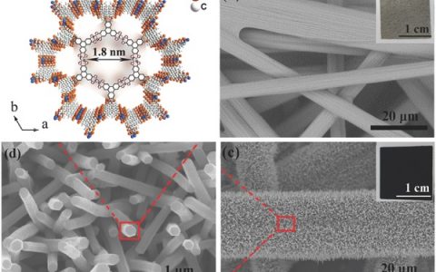 中科院物构所Adv. Funct. Mater.: 用于高性能固态超级电容器的导电金属有机框架纳米线阵列电极