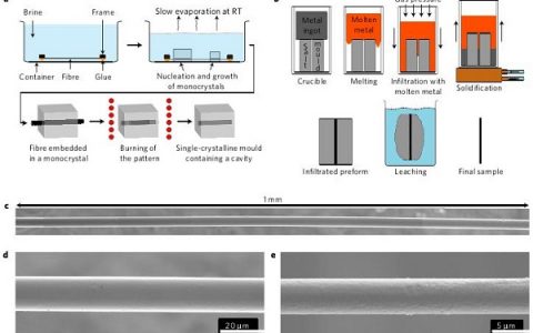 Nat. Mater.:微米尺度铸铝单晶线的随机塑性变形行为