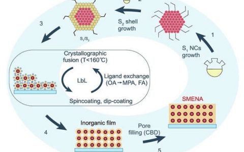 Natl. Sci. Rev.综述：高性能QD-LEDs的胶体量子点表面和器件结构工程
