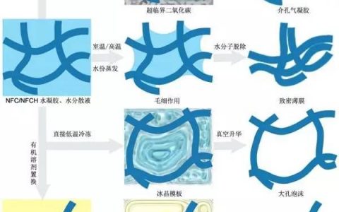 生物质资源纳米技术&先进功能材料