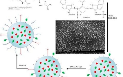 科技资讯写作大赛|吴富根&陈战Sci.China Mater.最新综述:基于水凝胶的光疗,对抗癌症和细菌感染