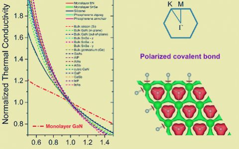 科技资讯写作大赛｜Phys. Rev. B: 单层氮化镓（GaN）热导率的反常温度依赖关系