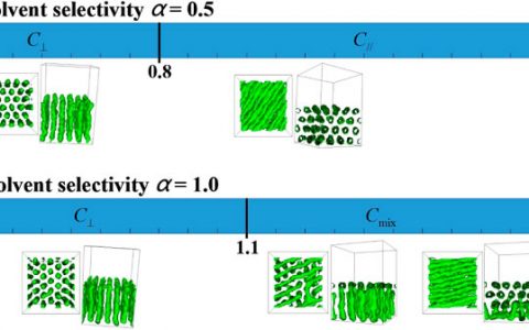南开大学Macromolecules：溶剂蒸发下嵌段共聚物薄膜自组装的模拟研究