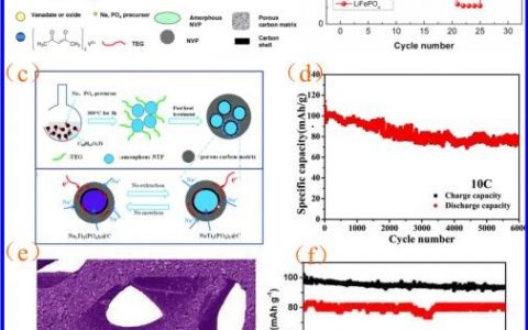 中科大余彦团队  高性能锂（钠）电池材料研究进展