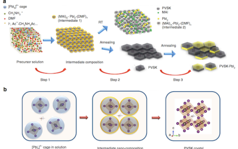 Nature子刊：钙钛矿晶化的原位动态观察及笼纳米粒子中的组织演化