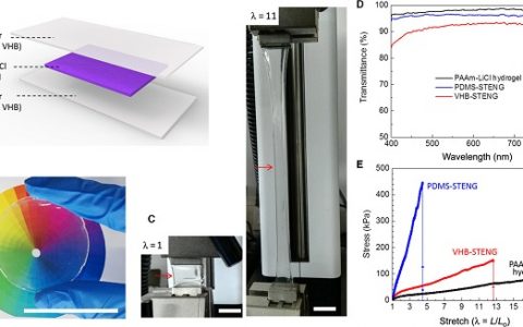 中科院纳米能源所王中林&胡卫国：透明可拉伸的仿皮肤式摩擦纳米发电机研制成功