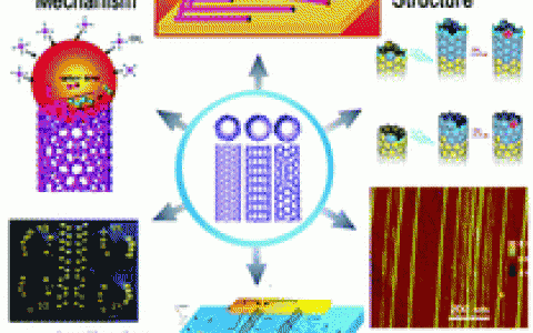 清华大学魏飞Chem. Soc. Rev.综述：水平阵列状碳纳米管的生长机理、可控合成、表征、性质和应用
