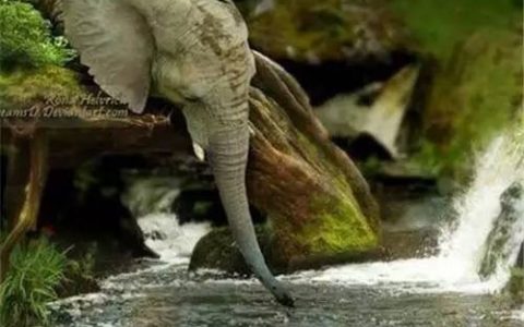 中山大学Science重磅：控制客体构象用于丁二烯的纯化