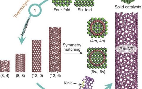 2017年中盘点: 华人学者Nature成果!