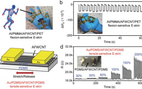 Adv. Funct. Mater.：人机交互新方式-定向分布碳纳米管构成的多功能可穿戴电子皮肤
