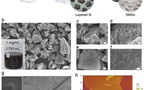 Adv. Mater.:2D Si纳米片的“一气呵成”技术