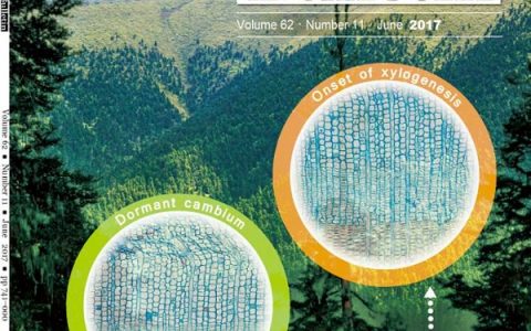 Science Bulletin更名后首个影响因子达到4.0， 跨入国际综合类期刊Q1区!