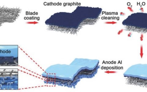 Adv. Energy. Mater.：快充不是梦，集成配置设计助力双离子快充电池！