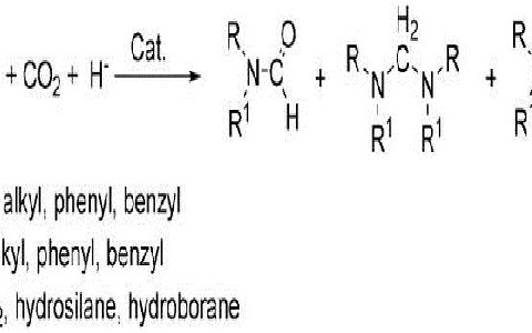 南开大学化学学院何良年教授：二氧化碳固定方面新突破