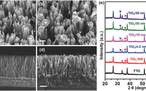 上海大学王林军团队：太阳能光电化学分解水制氢领域取得重大实验进展
