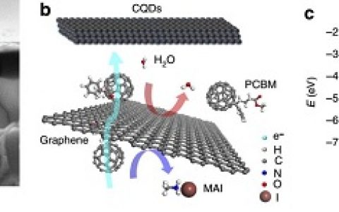 Nat. Commun. :稳定高效钙钛矿太阳能电池的离子和电荷载流子的分离工程