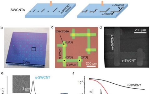 成会明院士&刘畅研究员Adv. Mater.：无金属半导体性和金属性单壁碳纳米管的选择性生长