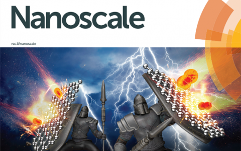 深圳大学Nanoscale：兼具高光热转化效率和高稳定性的氧化石墨烯/黑磷气凝胶