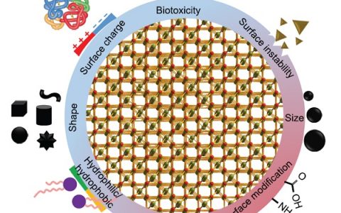 科技资讯写作大赛|顾宁&杨芳Sci.China Mater. 最新综述:磁性药物输送系统