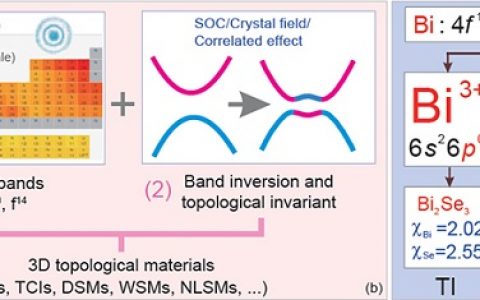 科技资讯写作大赛｜中科院金属所陈星秋Natl.Sci.Rev.:3D拓扑材料的开发：融合化学和物理的两步法计算筛选策略