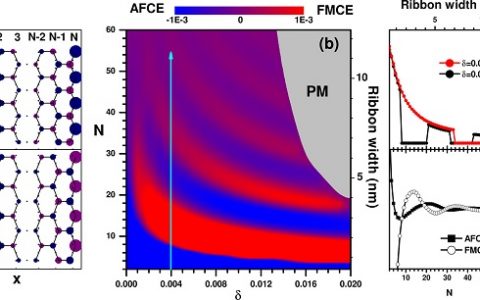Nano Lett.：在蜂窝式纳米带锯齿边缘实现可调宽度的磁有序振荡