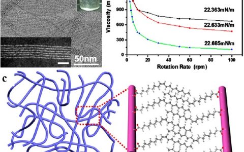 清华大学王训课题组：亚纳米尺度：无机一维材料与有机高分子材料的新桥梁