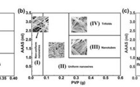中科院合肥研究院费广涛课题组：碲纳米材料的可控制备及其光电响应性能研究获进展
