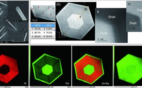牛智川NSR综述:基于自组装GaAs基纳米线侧壁量子点的单光子发射研究