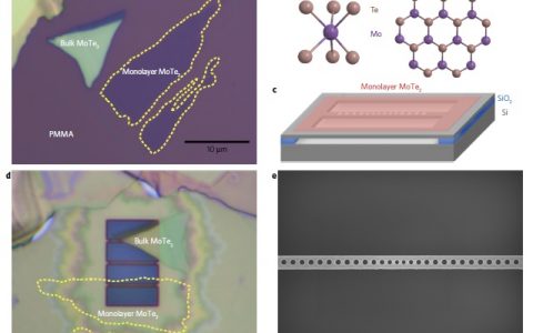 清华大学Nat. Nanotech.：基于单层MoTe2的纳米激光器，首次实现室温下连续波激射！