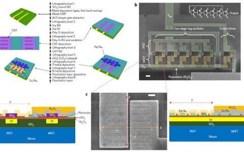 Nature子刊：将溶液处理的自组织碳纳米管用于高速逻辑集成电路