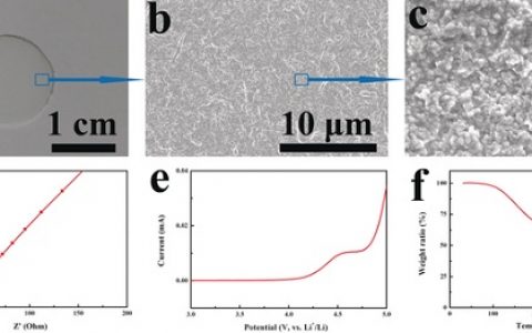 复旦大学Angew. Chem. Int. Ed.:凝胶聚合物电解质有效助阵Li-CO2电池